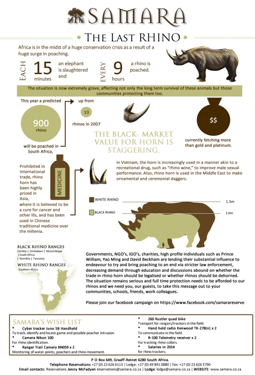 Rhino Infographic as jpeg for blog.jpg