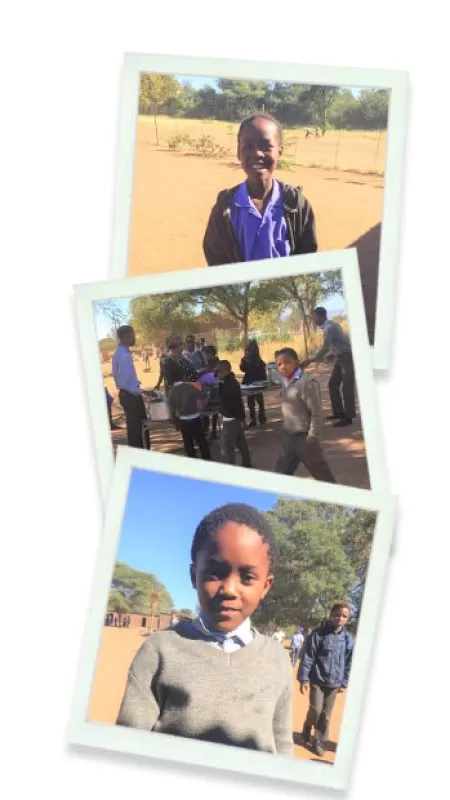 MORE Field Guide College